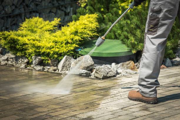 Best Animal Enclosure Cleaning  in West Bay Shore, NY